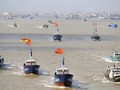 Hạm đội tàu cá Trung Quốc thường xuyên xâm phạm lãnh hải các nước láng giềng
