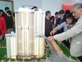 Ất Mùi 2015: Tuổi nào hợp “buôn” nhà đất?