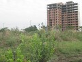 Một dự án rộng 143 ha trên vùng đất vàng Quận 2 - TP. Hồ Chí Minh bỏ hoang 10 năm na