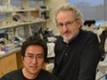 Dan Dongeun Huh (trái) và Donald Ingber.