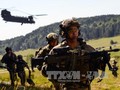 Binh sĩ các nước NATO tham gia cuộc tập trận ở Hohenfels, miền Nam nước Đức ngày 26/8. Ảnh: AFP/TTXVN