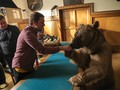 Clip vui: RT đã đốt tiền của Kremlin như thế nào?