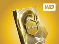 Ổ cứng WD Gold được thiết kế cho các hệ thống máy chủ, trung tâm dữ liệu với tần suất hoạt động liên tục, khối lượng dữ liệu lớn.