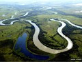 Khu thiên nhiên hoang dã Pantanal - bang Mato Grosso do Sul - Brazil