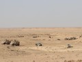 Lực lượng Dân chủ Syria SDF tiến công trên chiến trường Deir Ezzor. Ảnh minh họa South Front