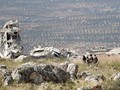 Vùng phi quân sự theo thỏa thuận ở Idlib, nơi thường xuyên diễn ra các cuộc pháo kích của lực lượng thánh chiến. Ảnh: Masdar News.