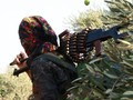 Nữ du kích người Kurd ở Afrin, Aleppo. Ảnh South Front