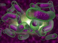 Lớp phủ đồng nano, kẽm tiêu diệt vi khuẩn tốc độ cao. Ảnh minh họa SciTech Daily