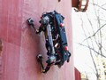 Robot 4 chân Marvel có khả năng leo trên các bề mặt cấu trúc kim loại lớn như tòa nhà. Ảnh Khoa học người máy (2022).