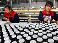 Trung Quốc là nguồn cung đất hiểm chủ yếu của thế giới. Ảnh: Cankao