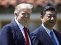 Trong cuộc gặp từ ngày 6 - 7/4/2017 tại bang Florida Mỹ giữa Tổng thống Mỹ Donald Trump và Chủ tịch Trung Quốc Tập Cận Bình, dư luận cho rằng Trung Quốc và Mỹ đã có nhiều "thỏa hiệp" với nhau. Ảnh: Washington Times