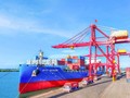 Cảng Chu Lai phát huy vai trò mũi nhọn trong hoạt động logistics tại miền Trung