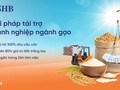 SHB triển khai giải pháp tài chính toàn diện dành cho các doanh nghiệp lúa gạo