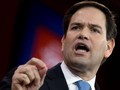 Thượng nghị sĩ Marco Rubio