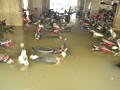 Xe máy ngâm nước trong trận lụt hồi tháng 9/2016