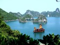 Ảnh minh họa. Nguồn Internet
