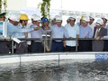Thủ tướng thị sát khu xử lý môi trường của Formosa. Ảnh: VGP/Quang Hiếu