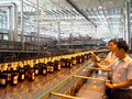 Chính phủ sẽ thoái toàn bộ vốn nhà nước tại Habeco trong năm 2016