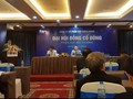 ROS tổ chức đại hội cổ đông bất thường để xin ý kiến cổ đông về nhiều quyết định quan trọng