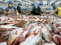 Nhiều doanh nghiệp xuất khẩu đã không thể nhận diện được các yếu tố rủi ro, dẫn đến thiệt hại nặng nề về kinh tế, thậm chí phải đối mặt với nguy cơ phá sản