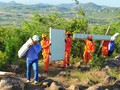 Viettel đang có tham vọng ở 2 trong 10 quốc gia có dân số đông nhất thế giới