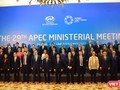 Tuần lễ cấp cao APEC 2017 tại Đà Nẵng đã bước vào ngày làm việc cuối cùng - Ảnh: Hồ Xuân Mai