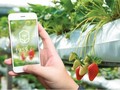 Giải pháp Nông nghiệp thông minh VNPT Smart Agri được VNPT phát triển trên nền tảng IoT Platform - Smart Connected Platform (SCP)