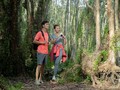 Du lịch trải nghiệm đang trở thành xu hướng được đông đảo du khách ưa chuộng. (Ảnh: Novaland)