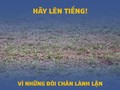 Thông điệp sân Vinh “Vì những đôi chân lành lặn”. Ảnh SLFC.