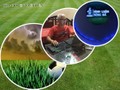 Bàn về cá cược đua ngựa, đua chó và bóng đá quốc tế. Ảnh AT.