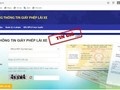 ảnh minh họa. nguồn internet