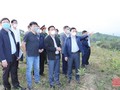 Bí thư tỉnh ủy Thanh Hóa Đỗ Trọng Hưng( hàng đầu thứ 2 từ phải qua) đi khảo sát thực tế (Ảnh: BTH)