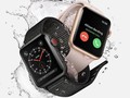 Apple Watch Series 3 (ảnh: Business Insider)