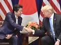 Phía Hoa Kỳ muốn có một thỏa thuận thương mại tự do hoàn toàn với Nhật Bản. (Ảnh: The Japan Times)