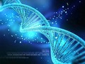 Giải mã ADN rất cần đến công nghệ thông tin. Ảnh: blogsinhhoc.com