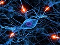 Mạng lưới nơron nhân tạo giúp máy móc hoạt động giống não người hơn. ẢNH: TOWARDS DATA SCIENCE