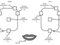 Apple muốn người dùng nhận trải nghiệm âm thanh từ tai nghe tốt nhất có thể. ẢNH: USPTO