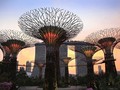 Với tốc độ truy cập Internet cao ở Singapore thì mức phí chi trả cũng không hề rẻ. ẢNH CHỤP MÀN HÌNH