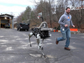 Robot của Boston Dynamics.ẢNH: BOSTON DYNAMICS