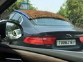 Mẫu sedan hạng sang cỡ trung với mái che đặc biệt trong một ngày nắng nóng ở Ấn Độ. Ảnh: Cartoq