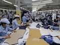 Ngành dệp may Việt Nam đã bán hàng qua kênh thương mại điện tử đạt gần 20%