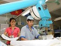 Ngành dệt may và da giày Việt Nam phải đáp ứng yêu cầu phát triển của CMCN 4.0