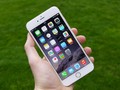 iPhone 6 Plus (ảnh Tech Radar)