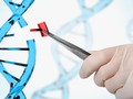 Có thể chỉnh sửa gene người để chống lại một số bệnh tật? (ảnh minh họa: New Atlas)