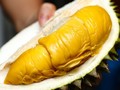 Sầu riêng Musang King còn được gọi là 'Mao Shan Wang' hoặc 'Mèo ngủ' theo hình dạng của trái sầu khi mới mở (ảnh: Handout)