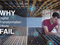 Không phải doanh nghiệp nào chuyển đổi số cũng thành công