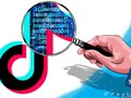 TikTok đang bị Mỹ "soi" rất kỹ (ảnh minh hoạ; Craig Stephens)