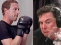 Tỉ phú Elon Musk có vẻ rất nghiêm túc trong việc đấu võ với CEO Meta Mark Zuckerberg