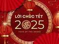 Những câu chúc Tết hay và ý nghĩa năm con Rắn