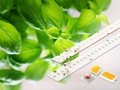 Samsung đã mở rộng các giải pháp linh kiện số của đèn LED với các sản phẩm chiếu sáng mới cho cây trồng (Ảnh Samsung Newsroom)